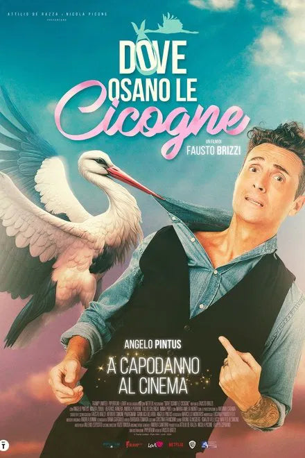 Dove osano le cicogne (2025) NEW