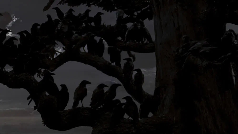 The Birds (1963) CLASSIC