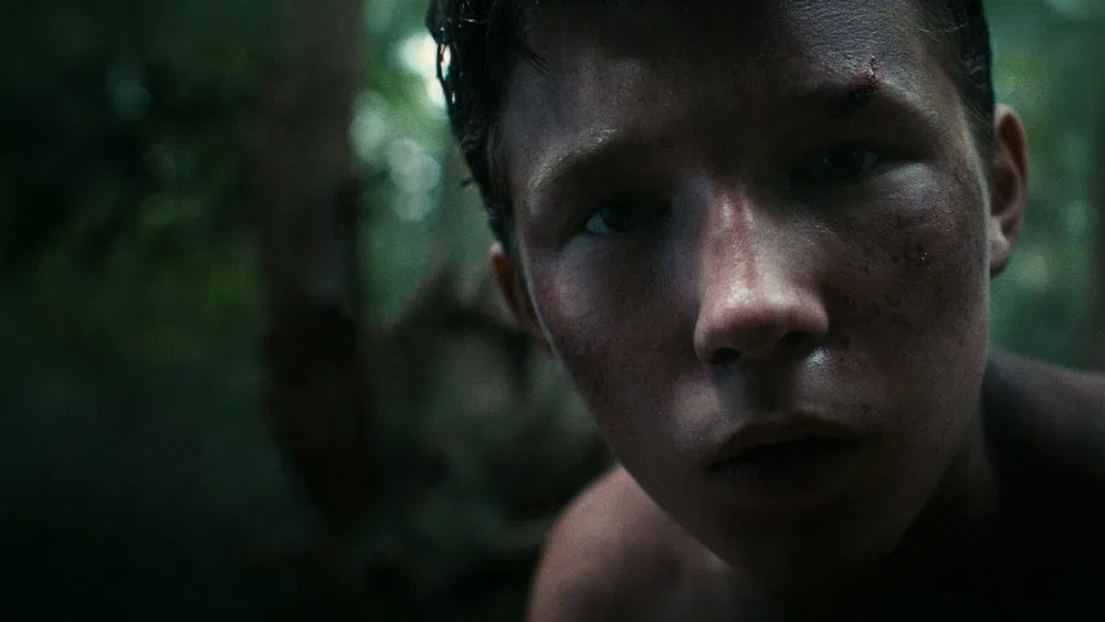 Lost on a Mountain in Maine (2024) NEW - digital blockbuster