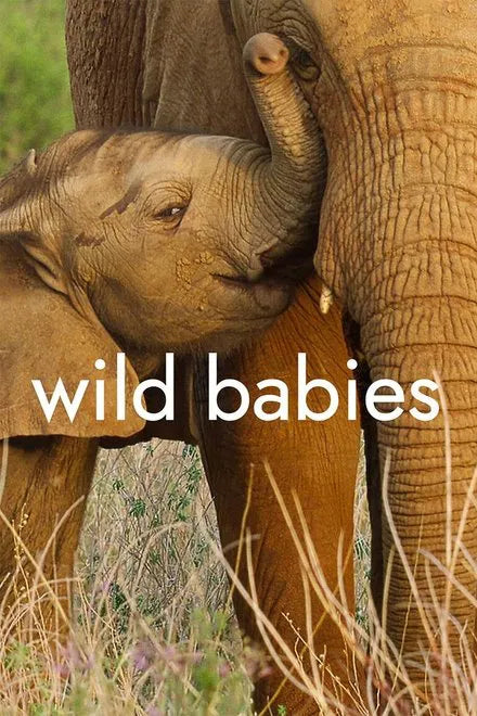 Wild Babies (2022) TV SERIES