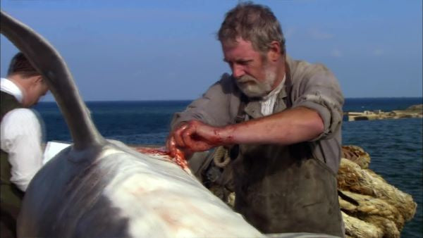 Blood in the Water (2009) CLASSIC