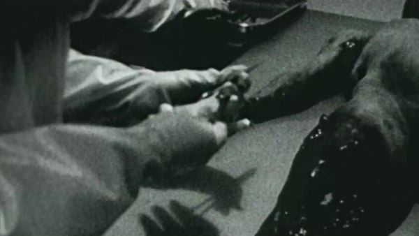 Alien Contact: Government Coverup (2025) NEW