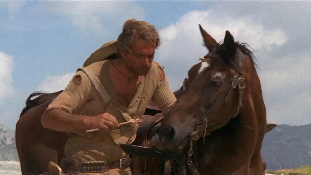 Trinity Is Still My Name (1971) NEW - digital blockbuster