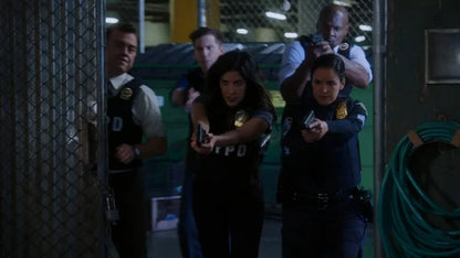 Brooklyn Nine-Nine (2013) TV SERIES
