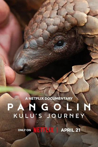Pangolin: Kulu's Journey (2025) NEW - digital blockbuster
