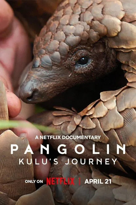 Pangolin: Kulu's Journey (2025) NEW - digital blockbuster