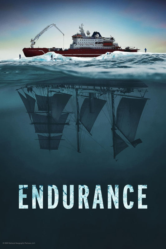 Endurance (2024) new