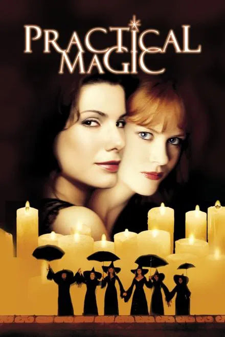Practical Magic (1998) NEW