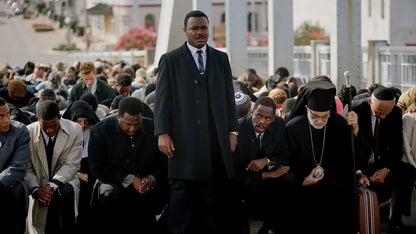 Selma (2014) 24 HS SALE