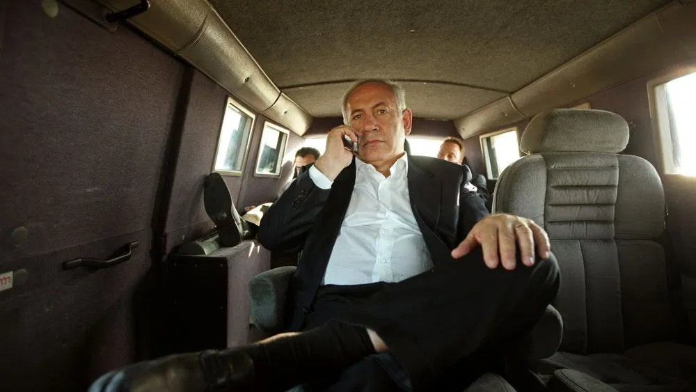 The Bibi Files (2024) 24 HS SALE - digital blockbuster