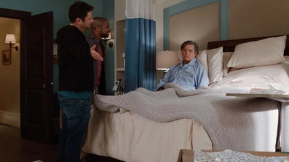 Psych 2: Lassie Come Home (2020) NEW - digital blockbuster