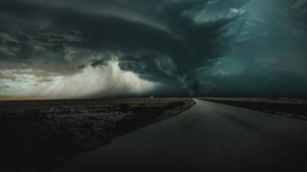 The Twister: Caught in the Storm (2025) NEW