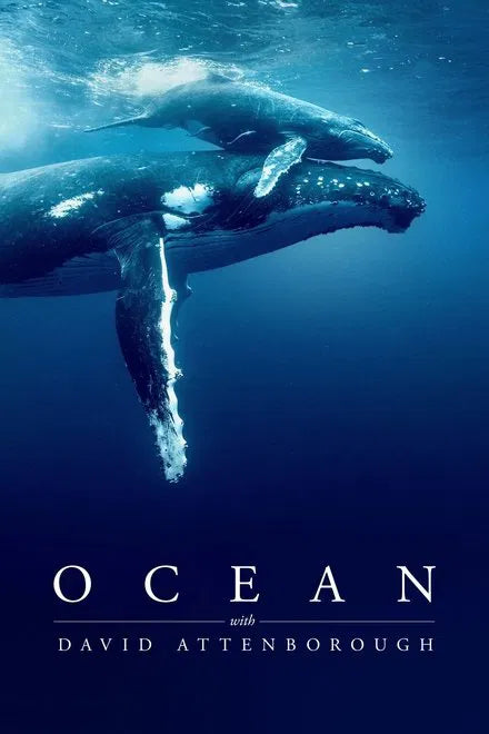 Ocean with David Attenborough (2025) NEW - digital blockbuster