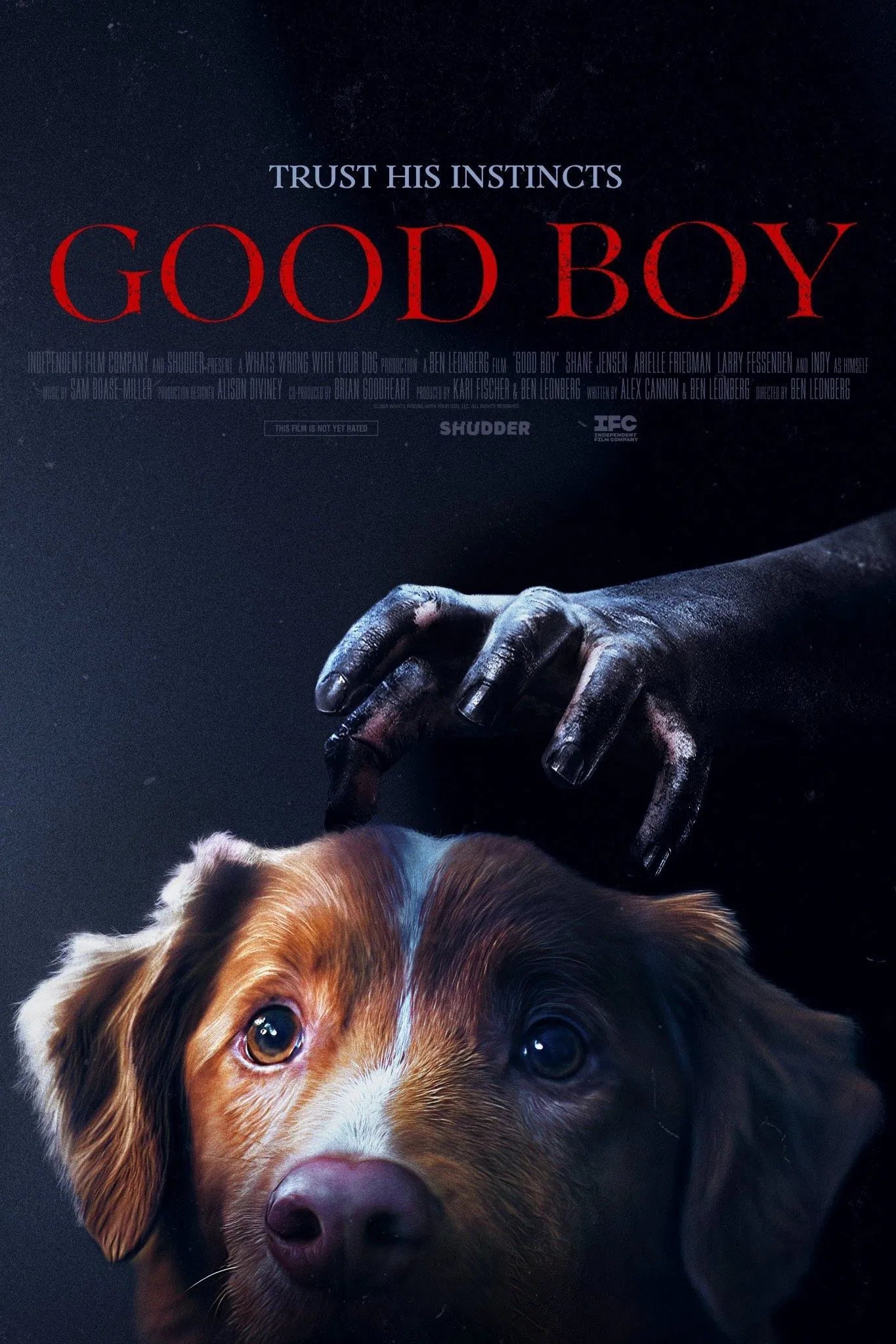 Good Boy (2025) PRE RELEASE UPDATE FREE NEW