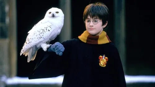 Harry Potter and the Philosopher's Stone (2001) CLASSIC