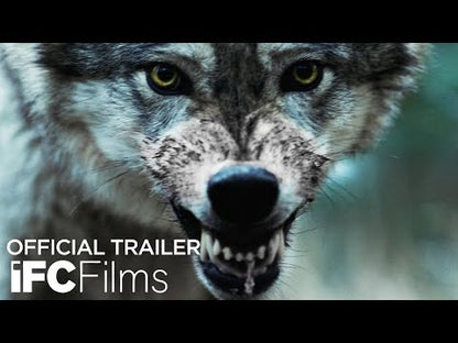 Out Come the Wolves (2024) NEW