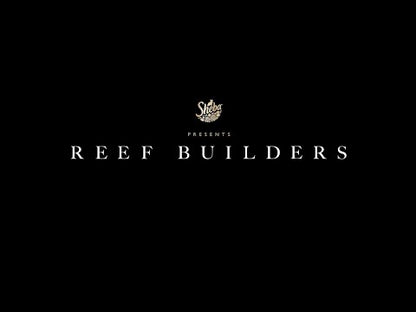 Reef Builders (2025) NEW SUMMER 50OFF
