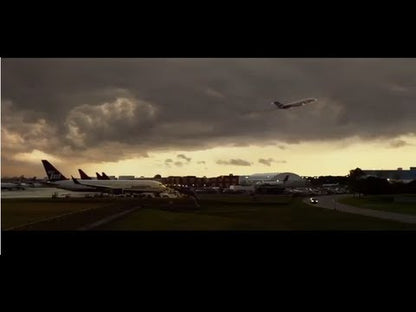 Flight (2012) NEW