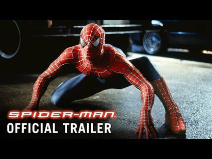 Spider-Man (2002) 24 HS SALE