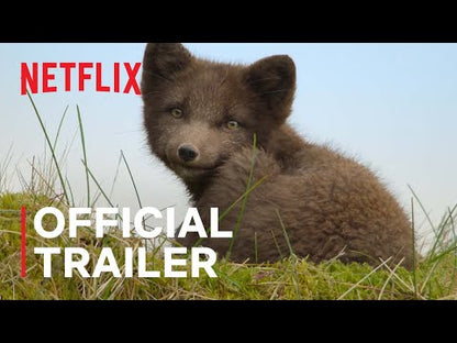 Wild Babies (2022) TV SERIES