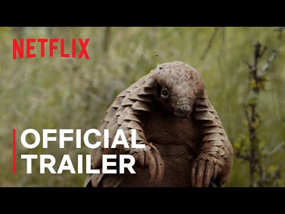 Pangolin: Kulu's Journey (2025) UHD 4K NEW