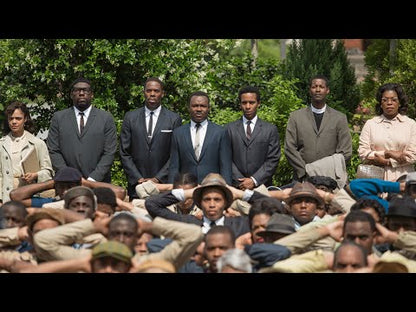Selma (2014) 24 HS SALE