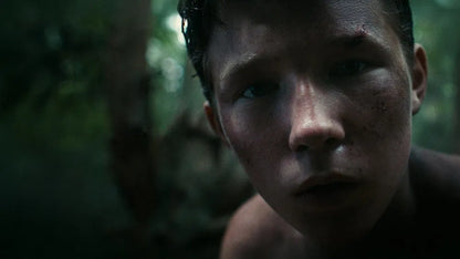 Lost on a Mountain in Maine (2024) NEW - digital blockbuster