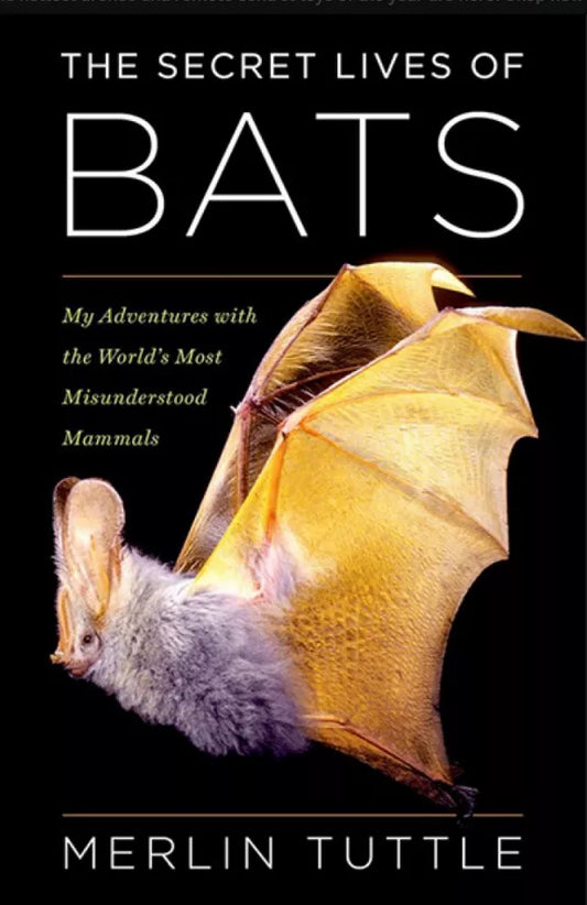 The Secret Life of Bats (2025) NEW