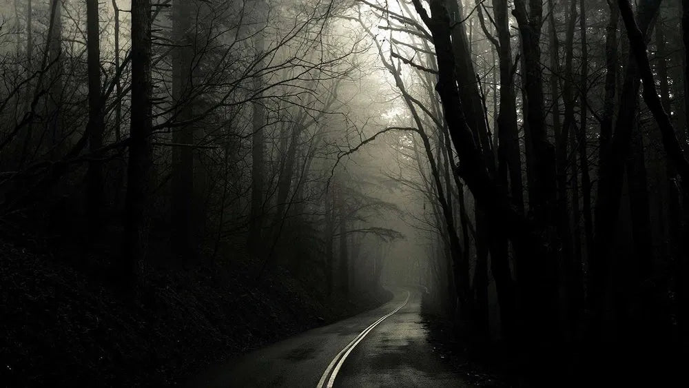Screamwalkers (2024) NEW