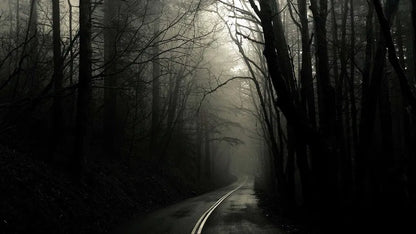 Screamwalkers (2024) NEW