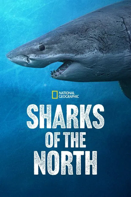 Sharks of the North (2025) NEW