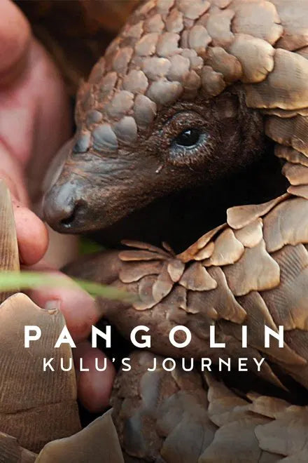 Pangolin: Kulu's Journey (2025) UHD 4K NEW